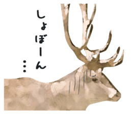 Watercolor deer sticker sticker #6144266