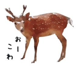 Watercolor deer sticker sticker #6144269