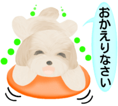 Shih Tzu. Honorific & polite language. sticker #6148833