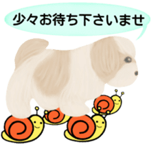 Shih Tzu. Honorific & polite language. sticker #6148834