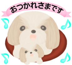 Shih Tzu. Honorific & polite language. sticker #6148835