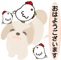Shih Tzu. Honorific & polite language. sticker #6148836