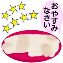 Shih Tzu. Honorific & polite language. sticker #6148837