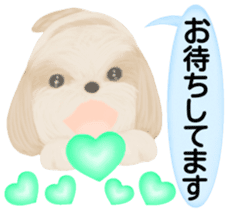 Shih Tzu. Honorific & polite language. sticker #6148839