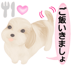 Shih Tzu. Honorific & polite language. sticker #6148848