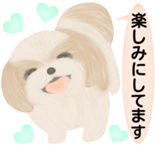 Shih Tzu. Honorific & polite language. sticker #6148851