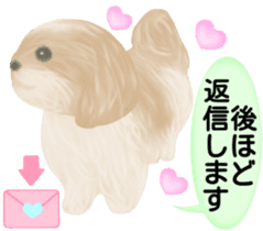 Shih Tzu. Honorific & polite language. sticker #6148852