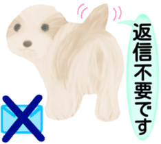 Shih Tzu. Honorific & polite language. sticker #6148853