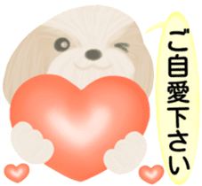 Shih Tzu. Honorific & polite language. sticker #6148857