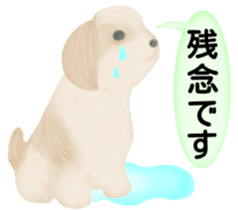 Shih Tzu. Honorific & polite language. sticker #6148860