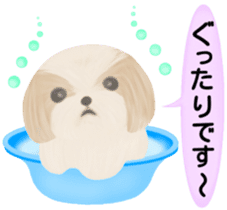 Shih Tzu. Honorific & polite language. sticker #6148861