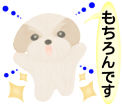 Shih Tzu. Honorific & polite language. sticker #6148865