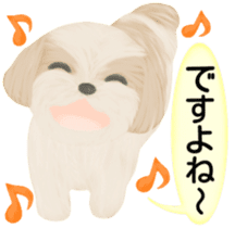 Shih Tzu. Honorific & polite language. sticker #6148867