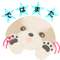 Shih Tzu. Honorific & polite language. sticker #6148871