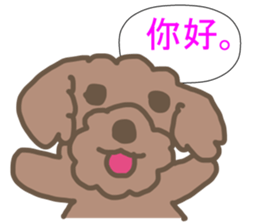 Toy poodle in Taiwanese sticker #6150816