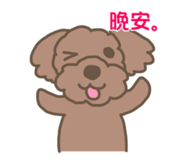Toy poodle in Taiwanese sticker #6150822