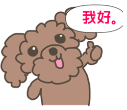 Toy poodle in Taiwanese sticker #6150825