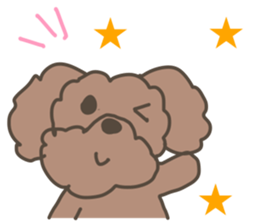 Toy poodle in Taiwanese sticker #6150828