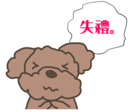 Toy poodle in Taiwanese sticker #6150829