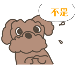 Toy poodle in Taiwanese sticker #6150830