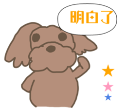 Toy poodle in Taiwanese sticker #6150833
