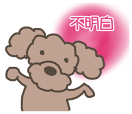 Toy poodle in Taiwanese sticker #6150834