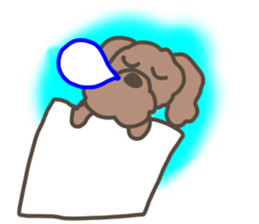 Toy poodle in Taiwanese sticker #6150843