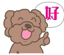 Toy poodle in Taiwanese sticker #6150845