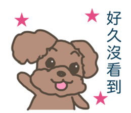 Toy poodle in Taiwanese sticker #6150847