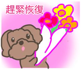 Toy poodle in Taiwanese sticker #6150854