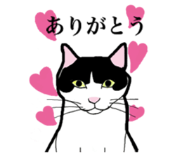 Real cat everyday sticker #6151218