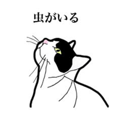 Real cat everyday sticker #6151219