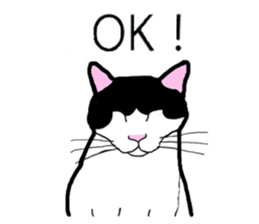 Real cat everyday sticker #6151223