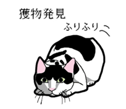 Real cat everyday sticker #6151226