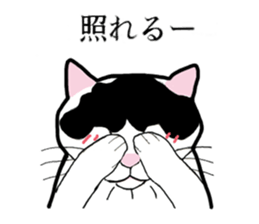 Real cat everyday sticker #6151229