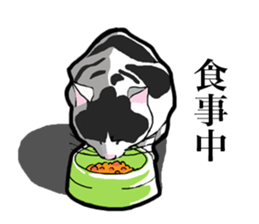 Real cat everyday sticker #6151230