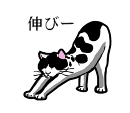 Real cat everyday sticker #6151231