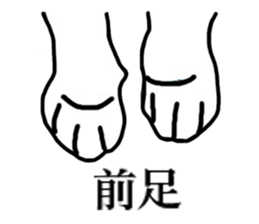 Real cat everyday sticker #6151232