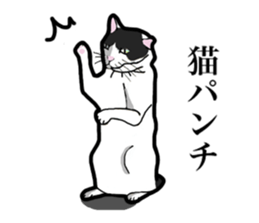 Real cat everyday sticker #6151233