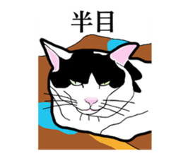 Real cat everyday sticker #6151234