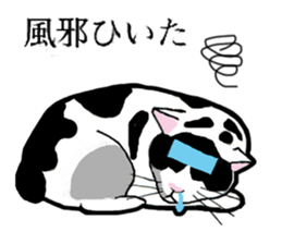 Real cat everyday sticker #6151235