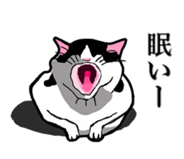 Real cat everyday sticker #6151236