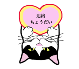 Real cat everyday sticker #6151238