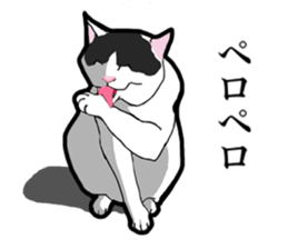 Real cat everyday sticker #6151239