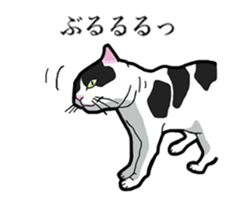 Real cat everyday sticker #6151240