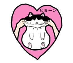 Real cat everyday sticker #6151241