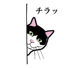 Real cat everyday sticker #6151244