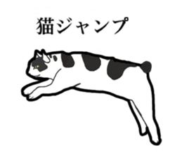 Real cat everyday sticker #6151247