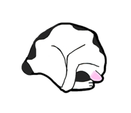 Real cat everyday sticker #6151248