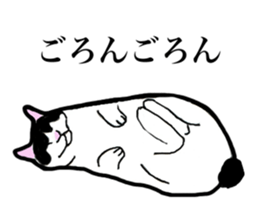 Real cat everyday sticker #6151249